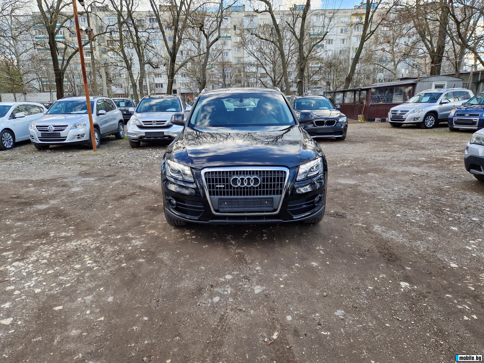 Audi Q5  44 | Mobile.bg   1