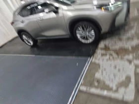 Lexus NX 350h * CARFAX * ОПЦИЯ ЗА ФИНАНСИРАНЕ | Auto.bg — изображение 2 Lexus NX 350h * CARFAX * ОПЦИЯ ЗА ФИНАНСИРАНЕ | Auto.bg — изображение 2