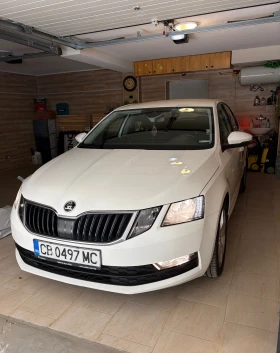 Skoda Octavia 1.6TDI 115к.с. - 11999 € / 23468.00 лв. - 90652166 6 | Car24.bg Skoda Octavia 1.6TDI 115к.с. - 11999 € / 23468.00 лв. - 90652166 6
