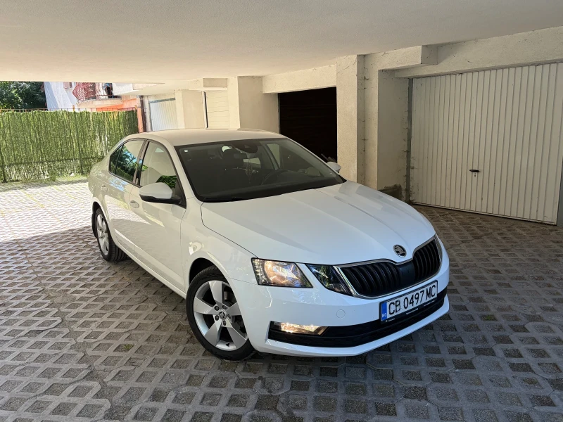 Skoda Octavia 1.6TDI 115к.с. - 11999 € / 23468.00 лв. - 90652166 1 | Car24.bg Skoda Octavia 1.6TDI 115к.с. - 11999 € / 23468.00 лв. - 90652166 1