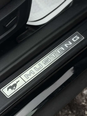 Ford Mustang GT Fastback Performance* CARFAX* ЦЕНА ДО БЪЛГАРИЯ - 29250 € / 57208.03 лв. - 72674801 12 | Car24.bg Ford Mustang GT Fastback Performance* CARFAX* ЦЕНА ДО БЪЛГАРИЯ - 29250 € / 57208.03 лв. - 72674801 12