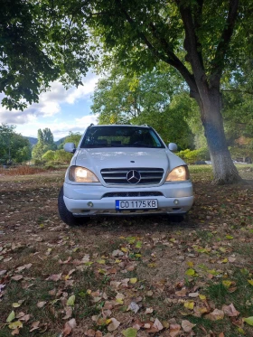 Mercedes-Benz ML 230 - Car24.bg Mercedes-Benz ML 230