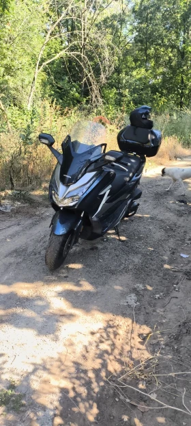 Honda Forza