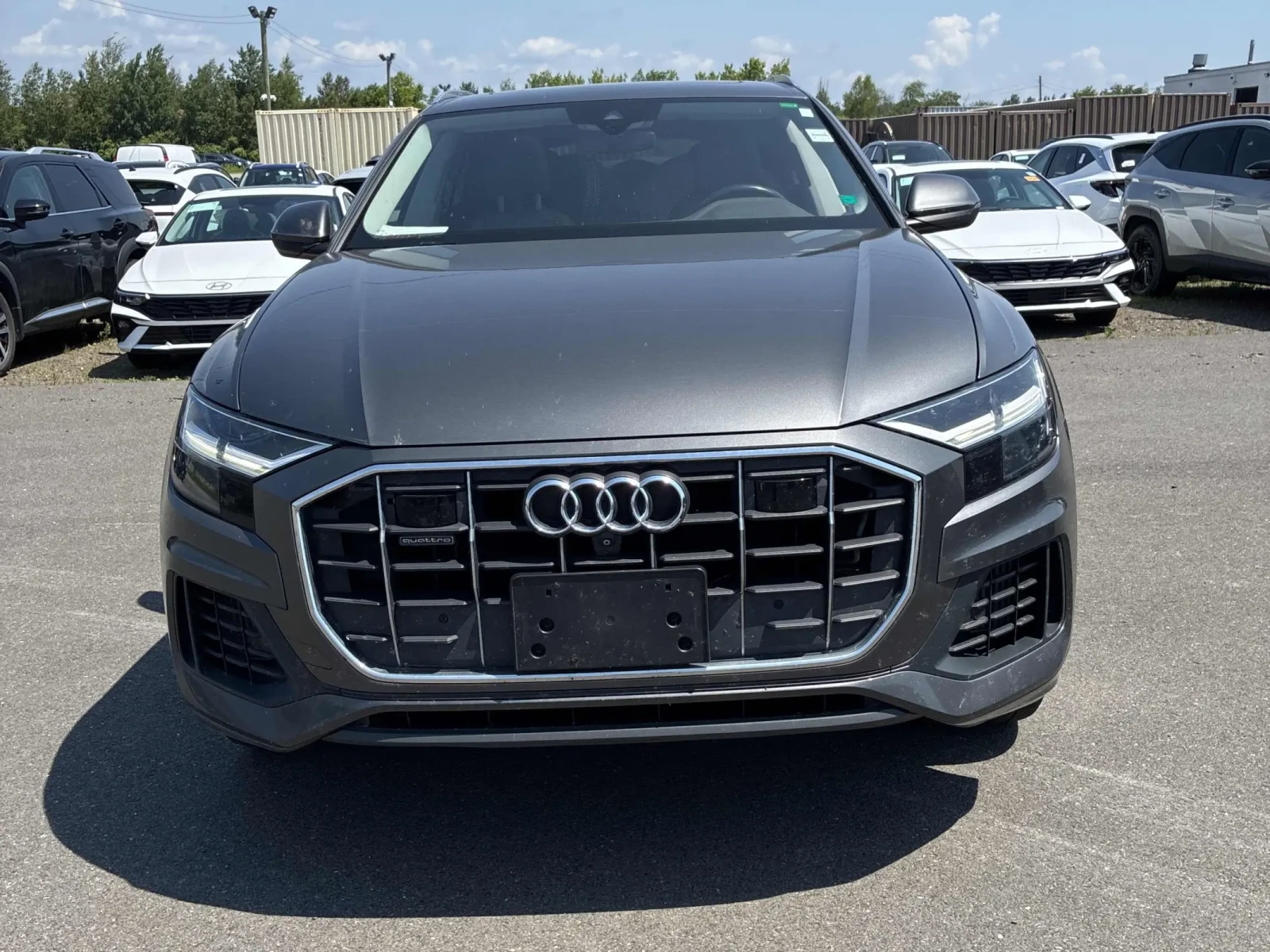Audi Q8 Audi Q8 Progressiv | Auto.bg — изображение 1 Audi Q8 Audi Q8 Progressiv | Auto.bg — изображение 1