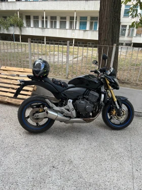 Honda Hornet