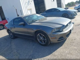 Ford Mustang 3.7L V-6 DOHC, VVT, 305HP Rear Wheel Drive - 18400 лв. / 9407.77 € - 60614962 5 | Car24.bg Ford Mustang 3.7L V-6 DOHC, VVT, 305HP Rear Wheel Drive - 18400 лв. / 9407.77 € - 60614962 5