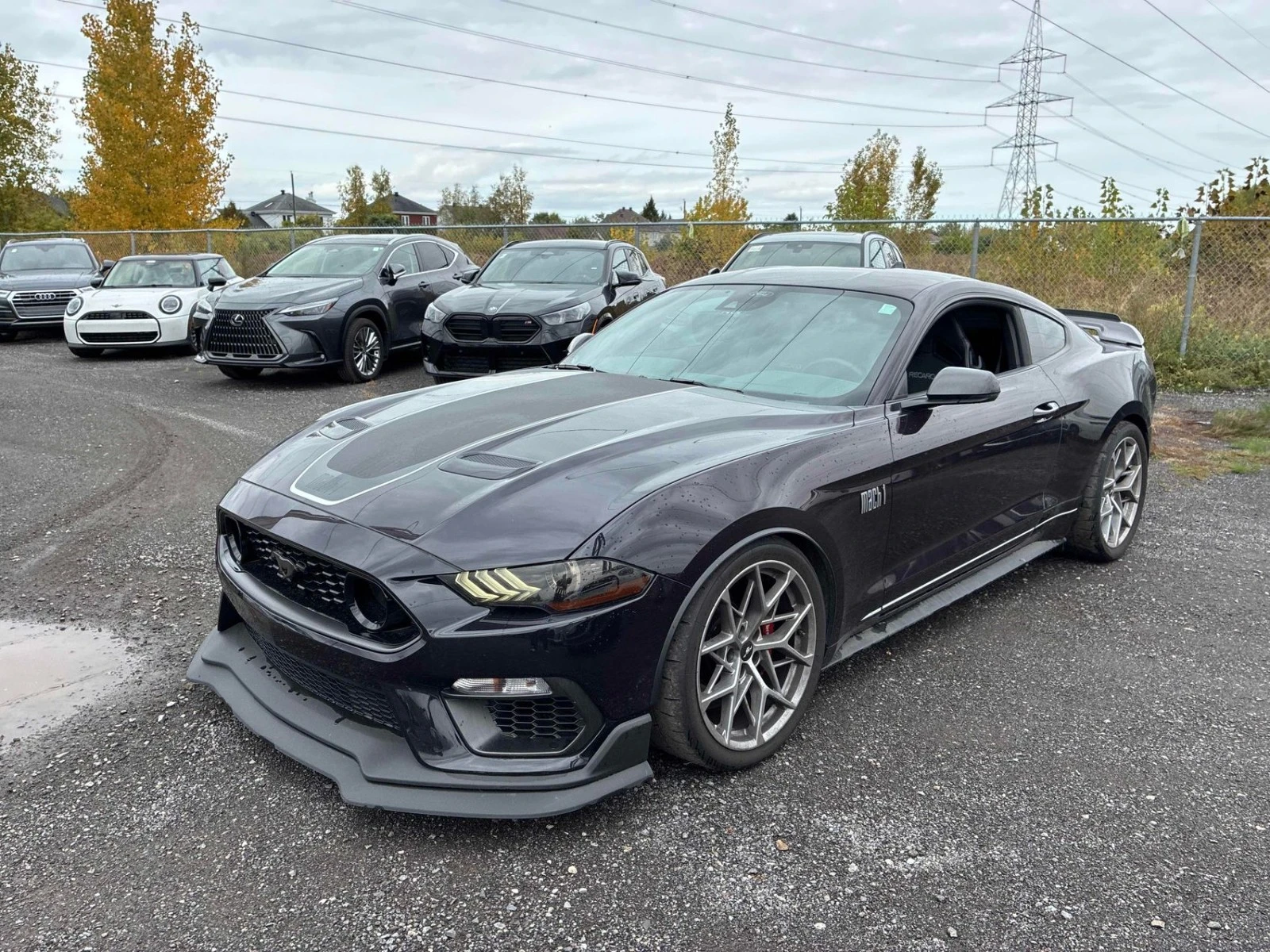 Ford Mustang Mach 1 Автокредит Цена до България | Auto.bg — изображение 1 Ford Mustang Mach 1 Автокредит Цена до България | Auto.bg — изображение 1