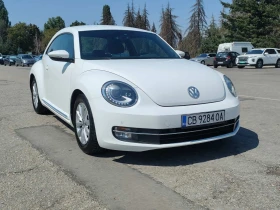 VW Beetle