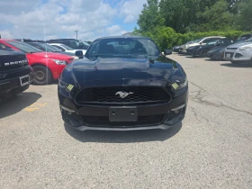 Ford Mustang * EcoBoost * CARFAX * ОПЦИЯ ЗА ФИНАНСИРАНЕ - 13800 € - 96154831 6 | Car24.bg Ford Mustang * EcoBoost * CARFAX * ОПЦИЯ ЗА ФИНАНСИРАНЕ - 13800 € - 96154831 6