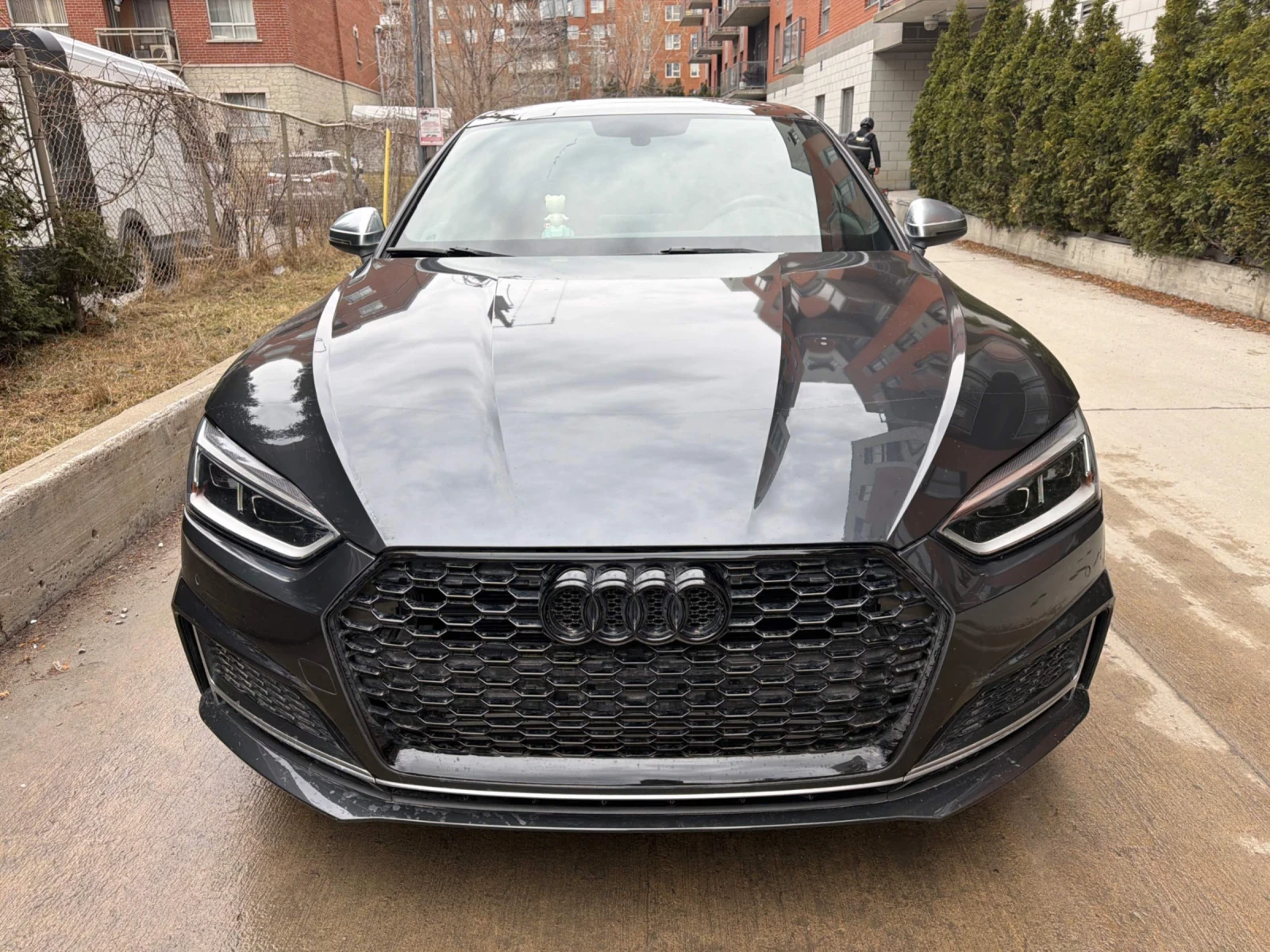 Audi S5 PROGRESSIV * CAR FAX * АВТО КРЕДИТ | Auto.bg — изображение 1 Audi S5 PROGRESSIV * CAR FAX * АВТО КРЕДИТ | Auto.bg — изображение 1