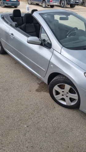 Снимка Peugeot 307