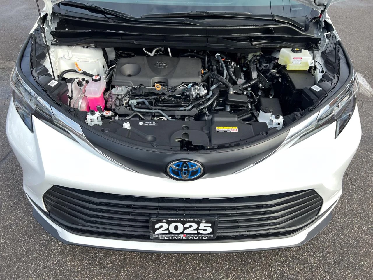 Toyota Sienna 2.5 Hybrid / LE / 8 Seats - изображение 7 | Auto.bg Toyota Sienna 2.5 Hybrid / LE / 8 Seats - изображение 7