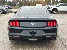 Ford Mustang * * CARFAX * * АВТО КРЕДИТ * * - 18199 € / 35594.15 лв. - 17165852 4 | Car24.bg Ford Mustang * * CARFAX * * АВТО КРЕДИТ * * - 18199 € / 35594.15 лв. - 17165852 4