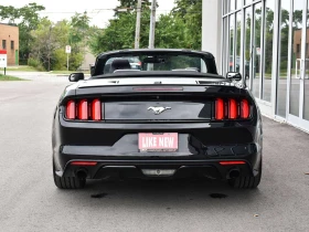 Ford Mustang Малко км / Кабрио / ЦЕНА до БГ | Auto.bg — изображение 5 Ford Mustang Малко км / Кабрио / ЦЕНА до БГ | Auto.bg — изображение 5