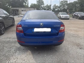 Skoda Octavia Canton/Bi-xenon/Високо ниво. - 9500 € / 18580.38 лв. - 64695612 5 | Car24.bg Skoda Octavia Canton/Bi-xenon/Високо ниво. - 9500 € / 18580.38 лв. - 64695612 5