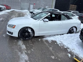 Audi A5 * 2.0L * CARFAX * ЦЕНА ДО БГ - 8300 € / 16233.39 лв. - 50353402 2 | Car24.bg Audi A5 * 2.0L * CARFAX * ЦЕНА ДО БГ - 8300 € / 16233.39 лв. - 50353402 2
