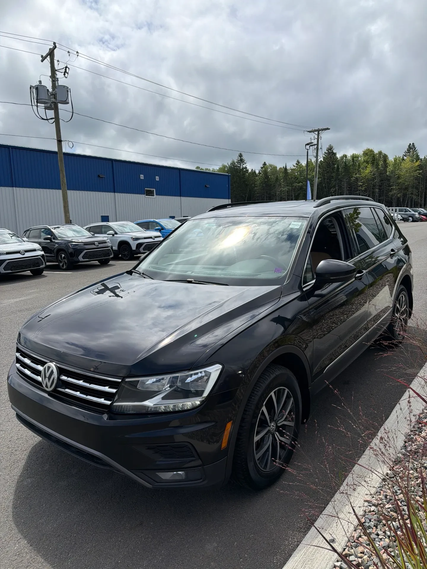 VW Tiguan Comfortline * CARFAX* ОПЦИЯ ЗА ФИНАНСИРАНЕ* | Auto.bg — изображение 1 VW Tiguan Comfortline * CARFAX* ОПЦИЯ ЗА ФИНАНСИРАНЕ* | Auto.bg — изображение 1