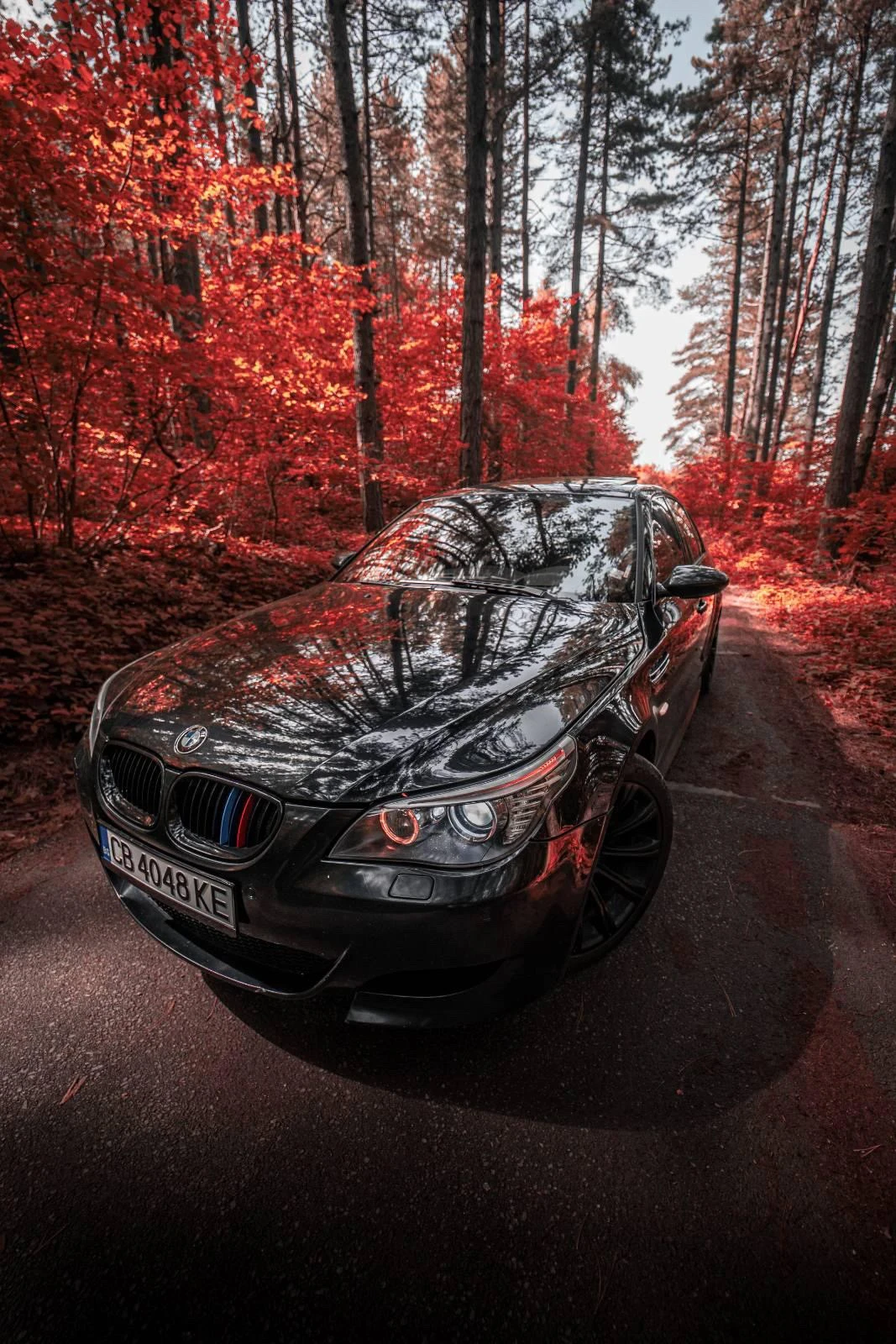 BMW M5 MAGNA FLOW/СМЕНЕНИ ЛАГЕРИ - изображение 10 | Auto.bg BMW M5 MAGNA FLOW/СМЕНЕНИ ЛАГЕРИ - изображение 10