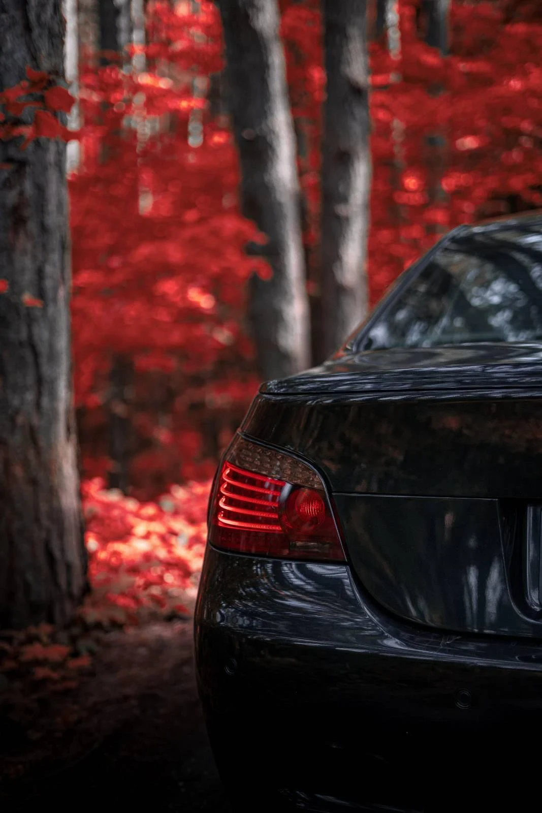 BMW M5 MAGNA FLOW/СМЕНЕНИ ЛАГЕРИ - изображение 9 | Auto.bg BMW M5 MAGNA FLOW/СМЕНЕНИ ЛАГЕРИ - изображение 9