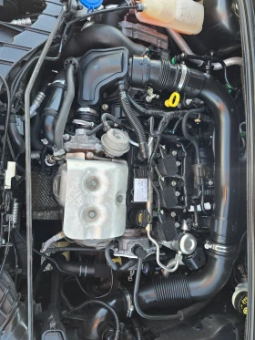 Ford Focus 1.0i-125-TITANIUM | Auto.bg — изображение 12 Ford Focus 1.0i-125-TITANIUM | Auto.bg — изображение 12