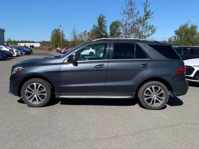 Mercedes-Benz GLE 350 Diesel * АВТОКРЕДИТ * ГЛАВНО ПРЕДСТАВИТЕЛСТВО | Auto.bg — изображение 3 Mercedes-Benz GLE 350 Diesel * АВТОКРЕДИТ * ГЛАВНО ПРЕДСТАВИТЕЛСТВО | Auto.bg — изображение 3