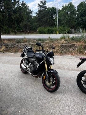 Honda Hornet