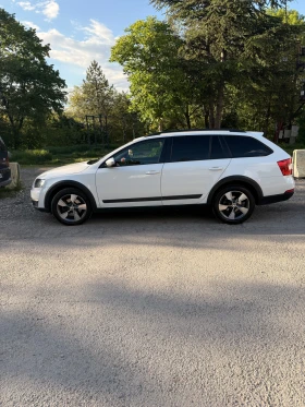 Skoda Octavia undefined | Auto.bg — изображение 9 Skoda Octavia undefined | Auto.bg — изображение 9