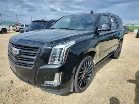Cadillac Escalade * PLATINUM * CARFAX *
