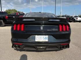 Ford Mustang * Shelby * CARFAX * ЦЕНА ДО БГ | Auto.bg — изображение 5 Ford Mustang * Shelby * CARFAX * ЦЕНА ДО БГ | Auto.bg — изображение 5
