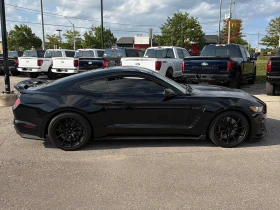 Ford Mustang * Shelby * CARFAX * ЦЕНА ДО БГ | Auto.bg — изображение 4 Ford Mustang * Shelby * CARFAX * ЦЕНА ДО БГ | Auto.bg — изображение 4