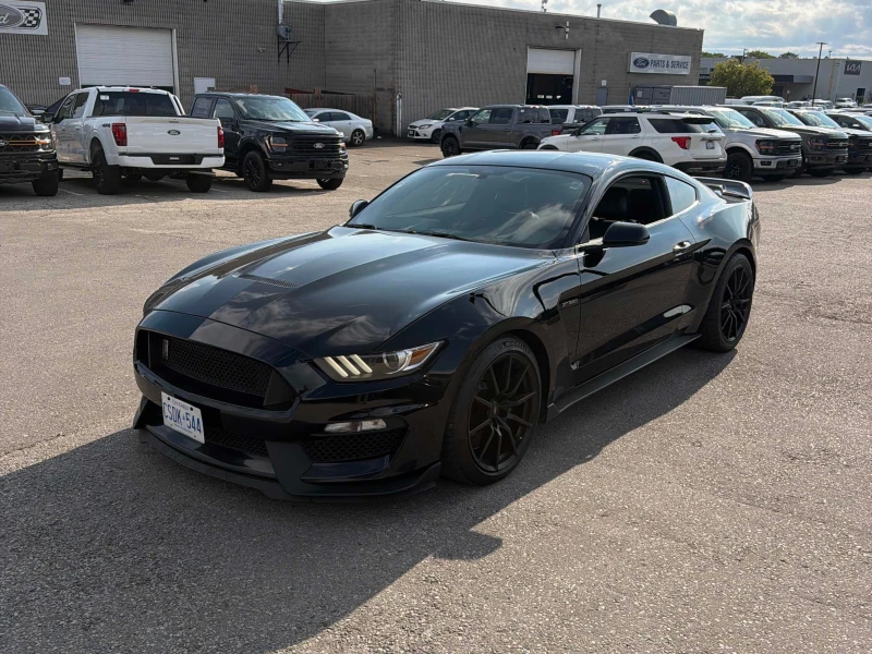 Ford Mustang * Shelby * CARFAX * ЦЕНА ДО БГ - 19999 € - 90506216 1 | Car24.bg Ford Mustang * Shelby * CARFAX * ЦЕНА ДО БГ - 19999 € - 90506216 1