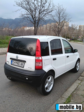     Fiat Panda ~3 999 .