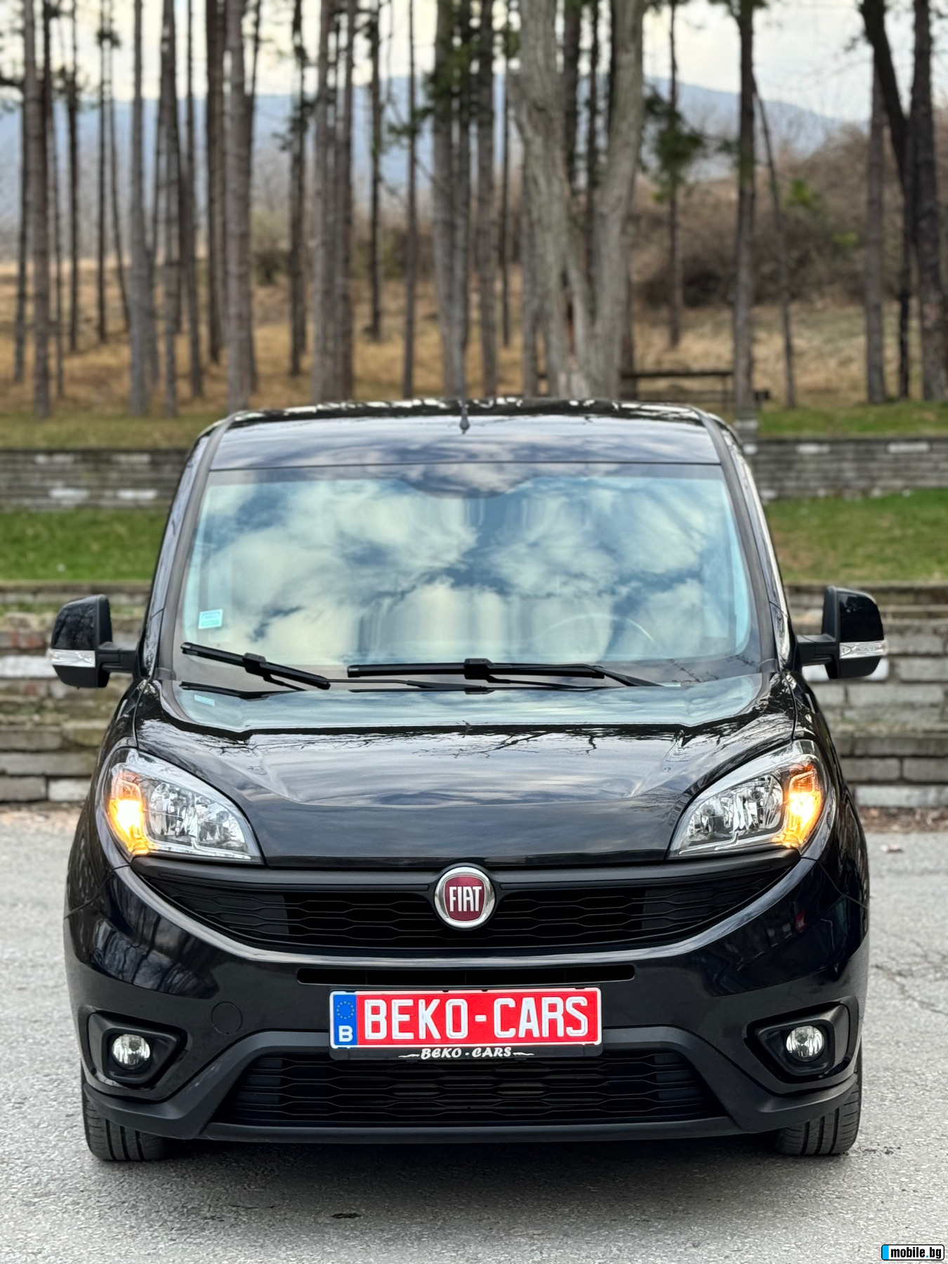 Fiat Doblo     65000 | Mobile.bg   4