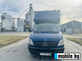 Mercedes-Benz Sprinter 318 | Mobile.bg   8