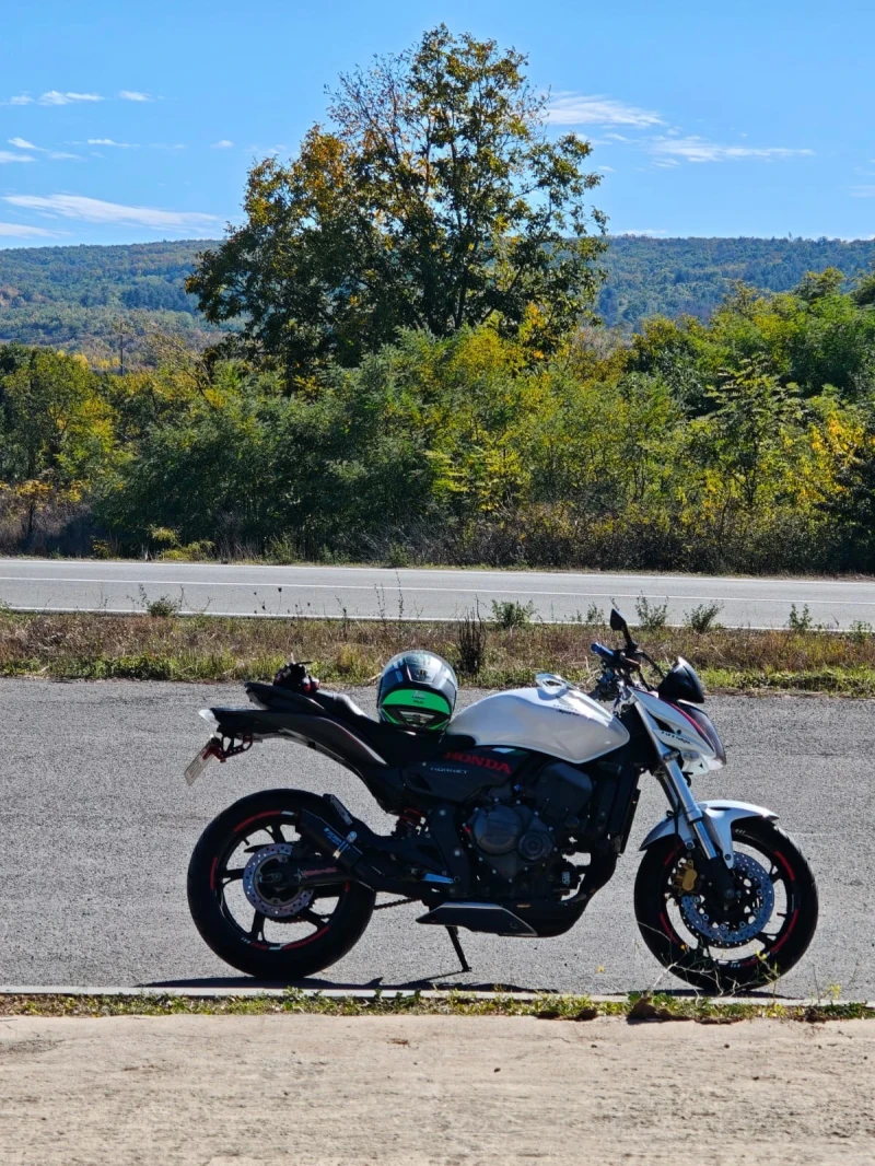 Honda Hornet, снимка 10 - Мотоциклети и мототехника - 52657158