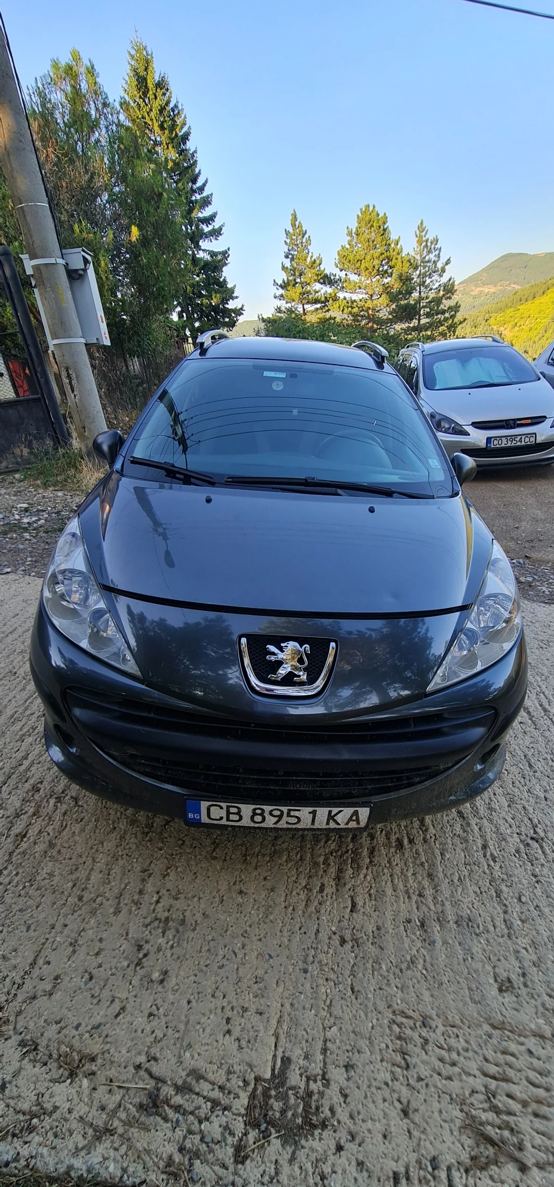 Peugeot 207 SW - изображение 3