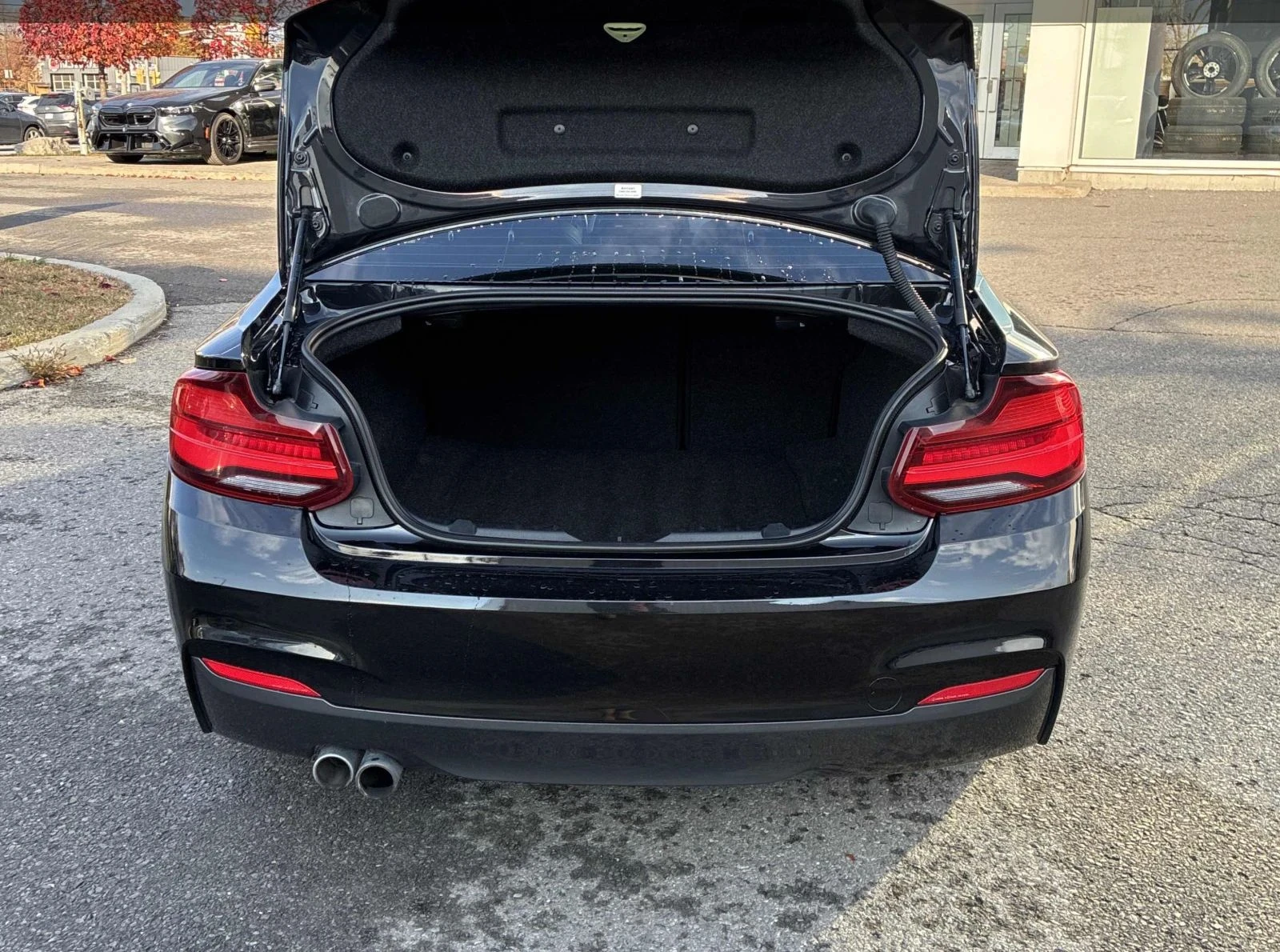 BMW 230, снимка 13 - Автомобили и джипове - 56726900