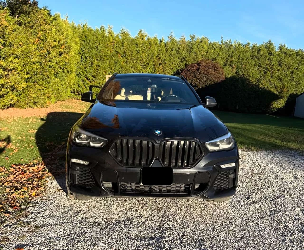 BMW X6 xDrive40i | CARFAX | ��� ��������� | Mobile.bg � ����������� 2