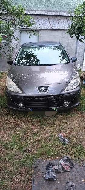     Peugeot 307
