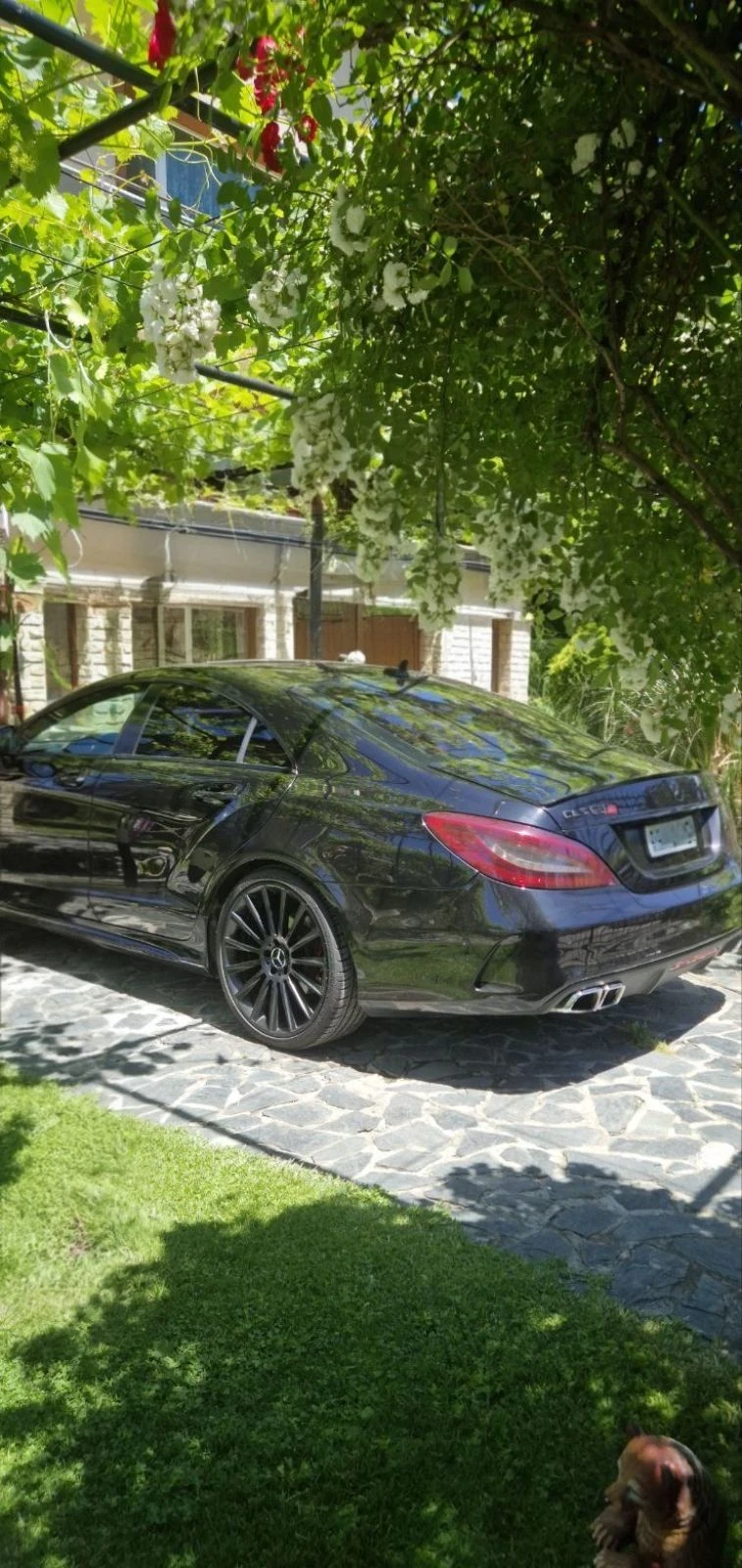 Mercedes-Benz CLS 350 Multibeam/Designo/ActiveSound/AMG, снимка 6 - Автомобили и джипове - 53539256