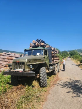 Ural Crone, снимка 6