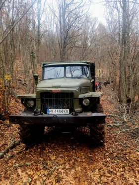 Ural Crone, снимка 3