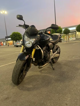  Honda Hornet