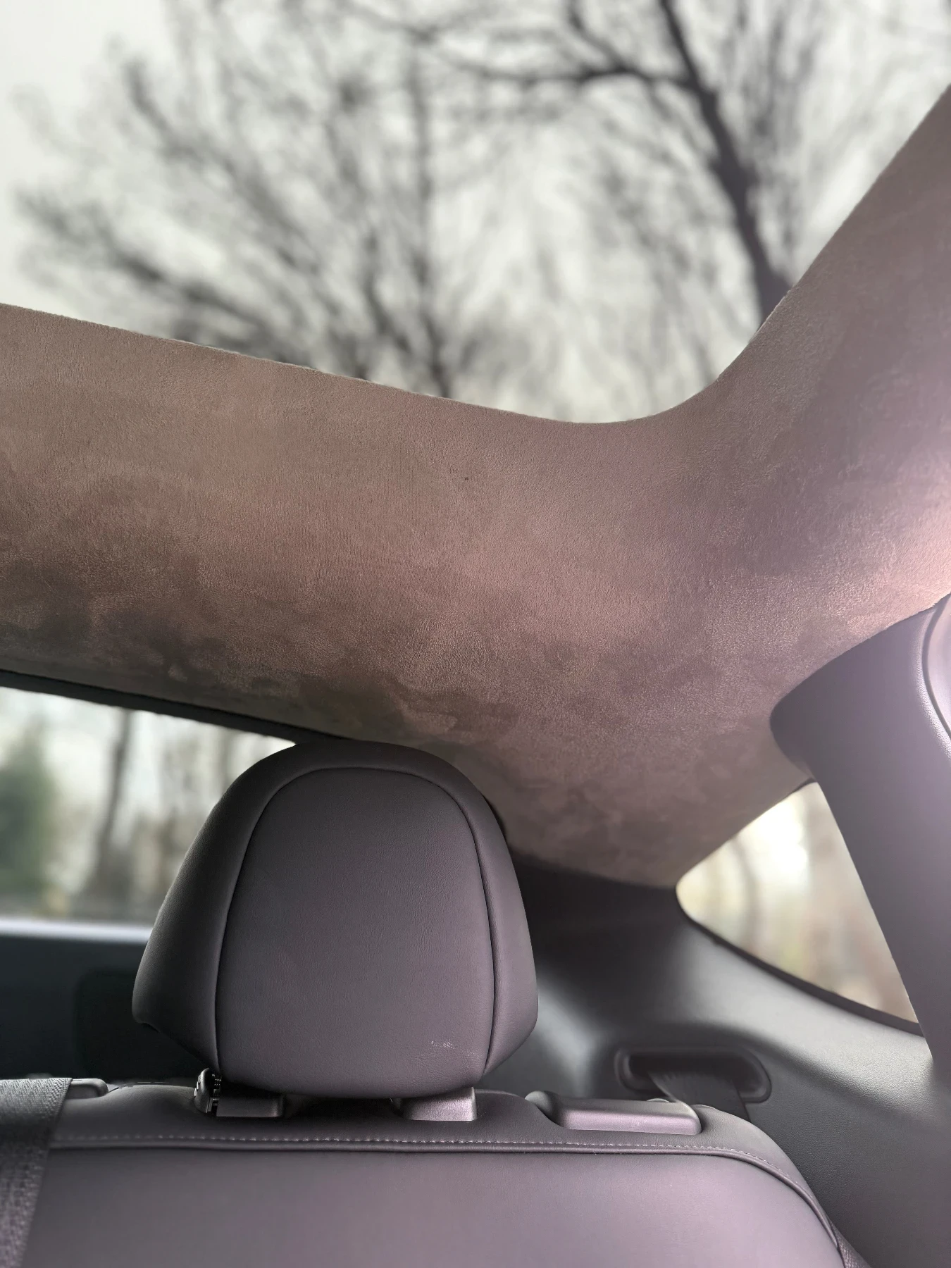 Tesla Model Y LR/LFP/Dual Motor | Mobile.bg � ����������� 12