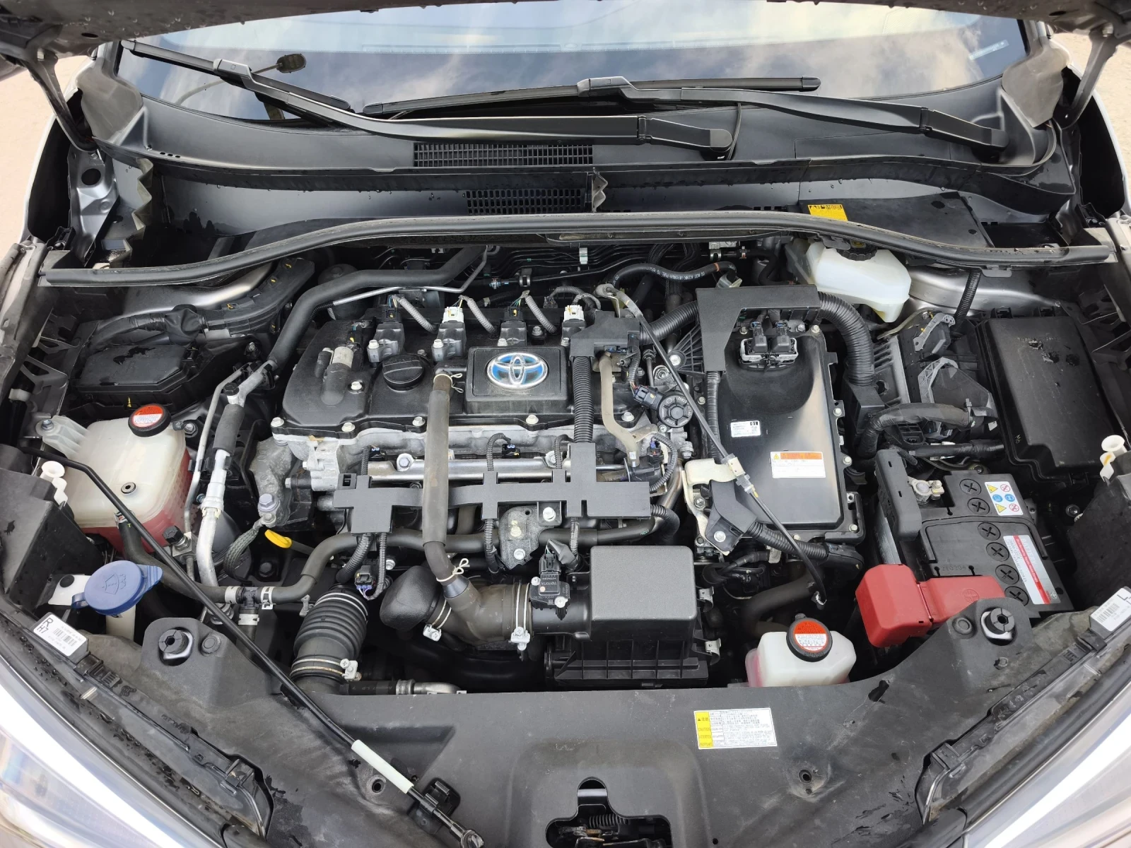 Toyota C-HR 1.8HYBRID FIRST EDITION FULL SERVICE IN TOYOTA  | Mobile.bg � ����������� 15