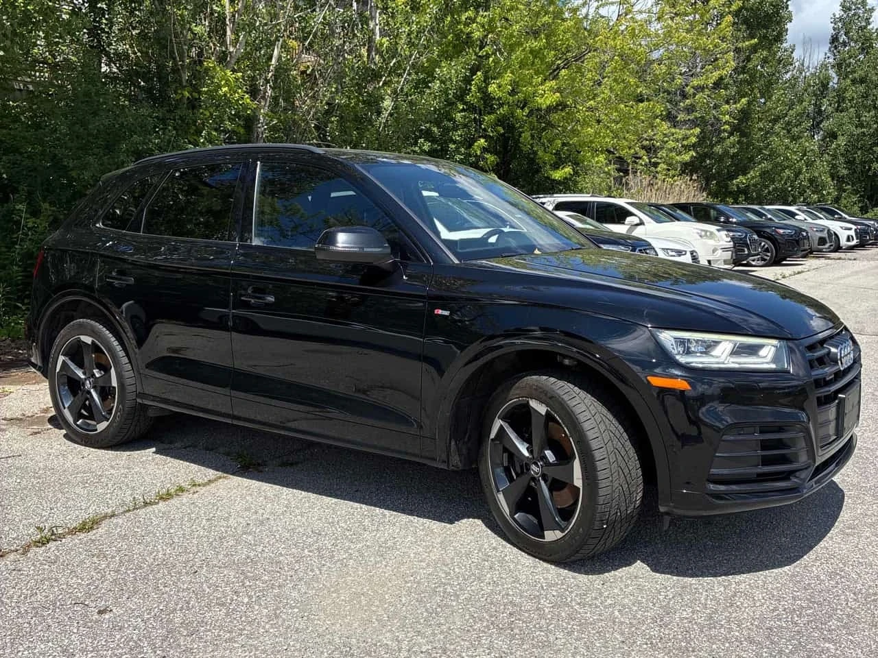 Audi Q5 * Progressiv * CARFAX * БЕЗ ПЪРВОНАЧАЛНА ВНОСКА, снимка 3 - Автомобили и джипове - 56341276