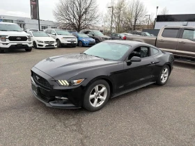 ������ Ford Mustang