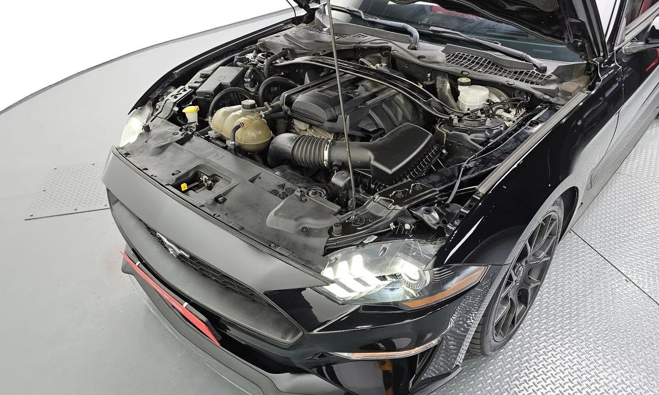 Ford Mustang 2.3 Eco Boost FACE* ПОДГРЕВ* ОБДУХВАНЕ* NAVI* КОЖА, снимка 15 - Автомобили и джипове - 54727076