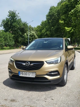 Opel Grandland X, снимка 1