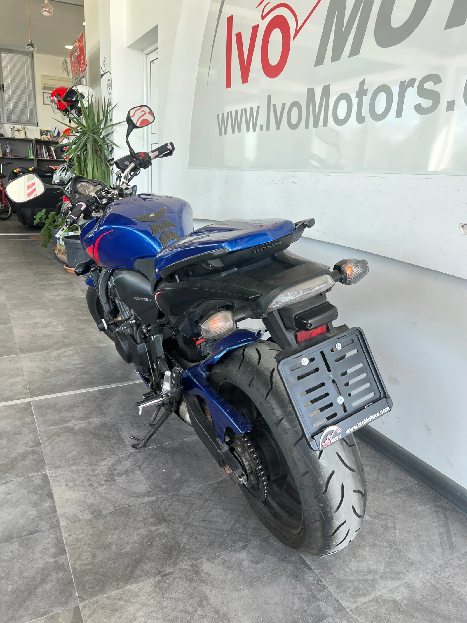 Honda Hornet 600 - изображение 4
